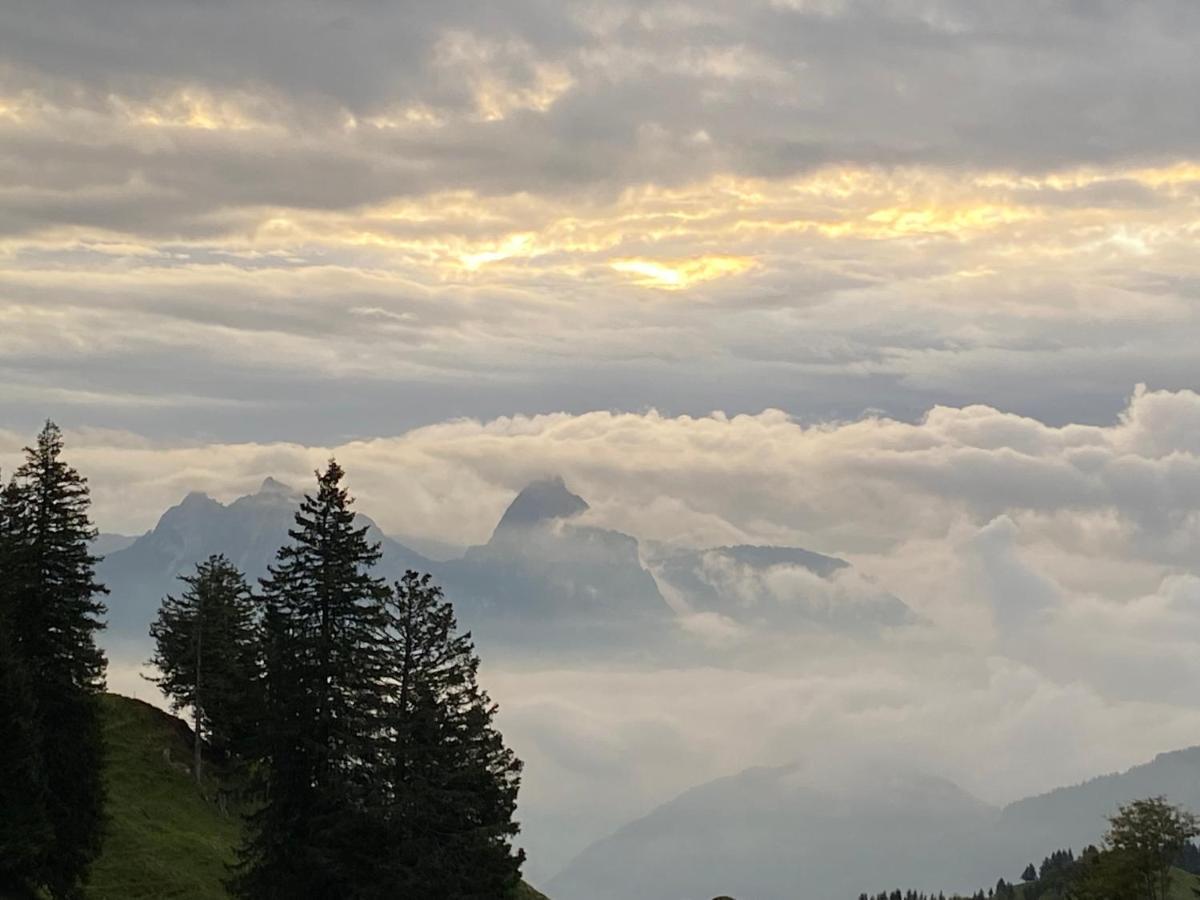 Rigi-Burggeist Alpine Guesthouse Gersau Εξωτερικό φωτογραφία