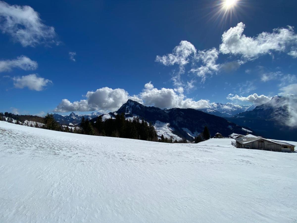 Rigi-Burggeist Alpine Guesthouse Gersau Εξωτερικό φωτογραφία