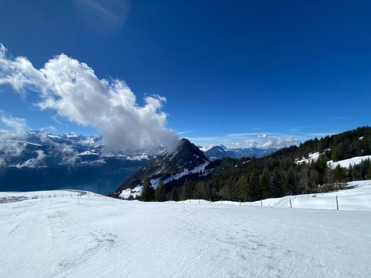 Rigi-Burggeist Alpine Guesthouse Gersau Εξωτερικό φωτογραφία