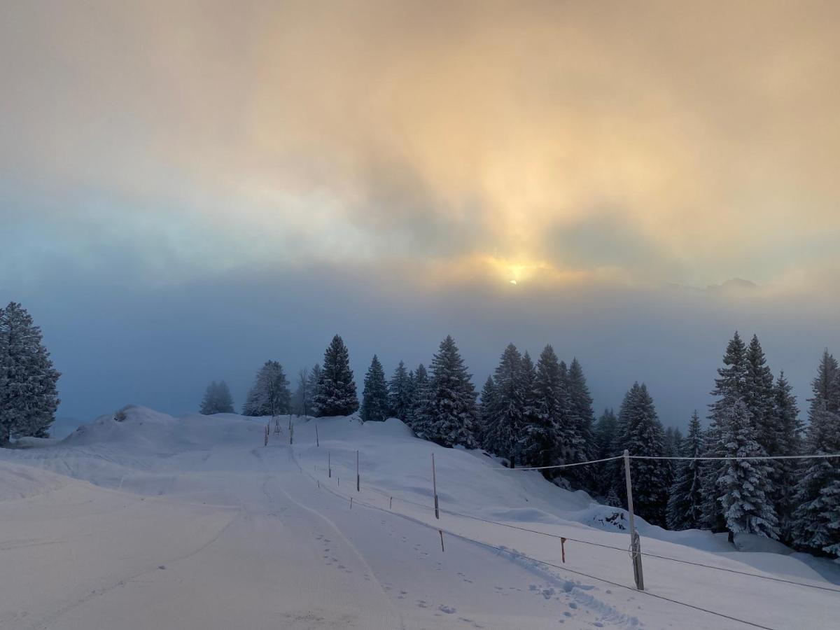 Rigi-Burggeist Alpine Guesthouse Gersau Εξωτερικό φωτογραφία