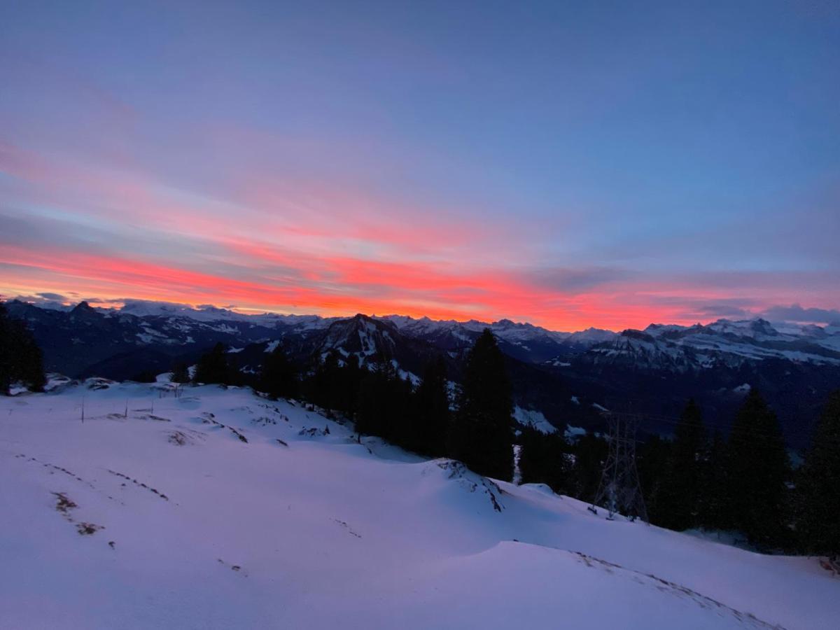 Rigi-Burggeist Alpine Guesthouse Gersau Εξωτερικό φωτογραφία