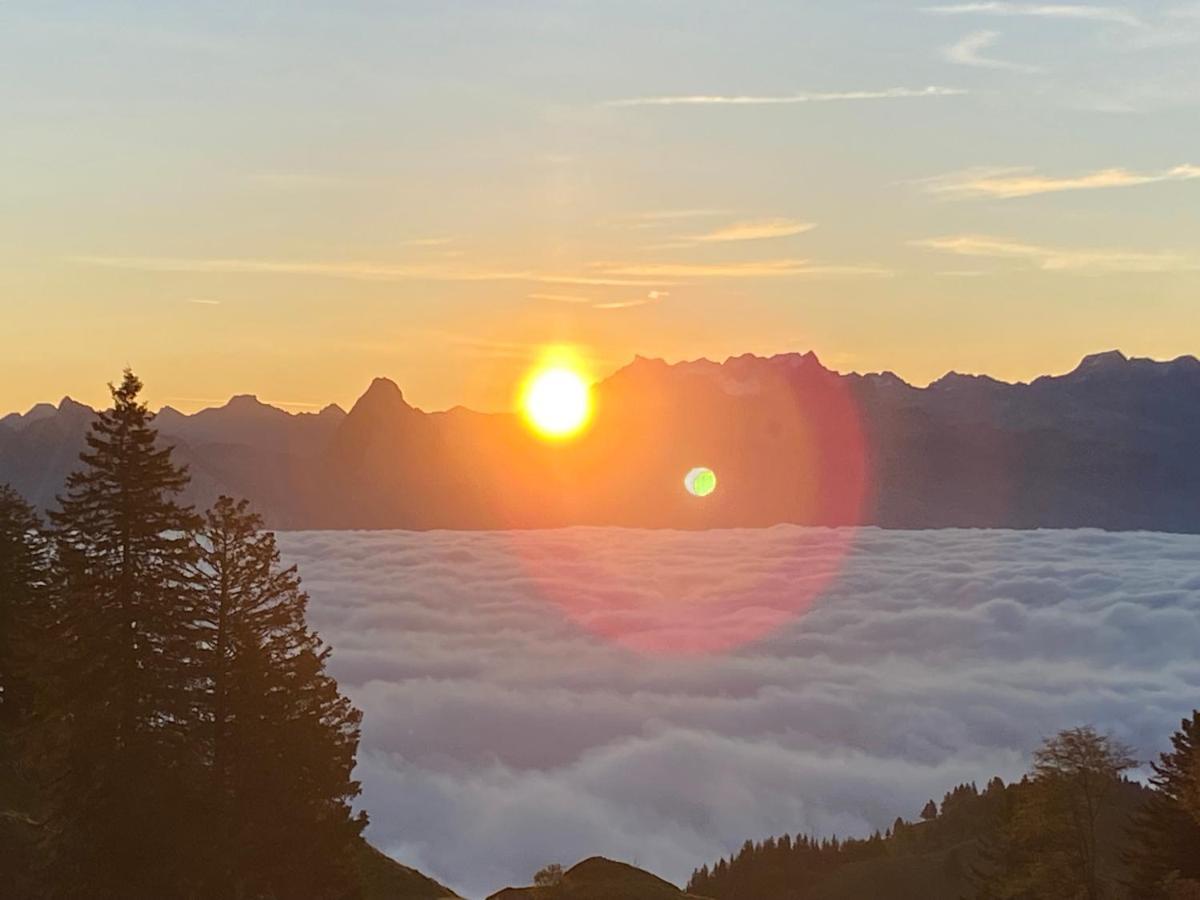 Rigi-Burggeist Alpine Guesthouse Gersau Εξωτερικό φωτογραφία