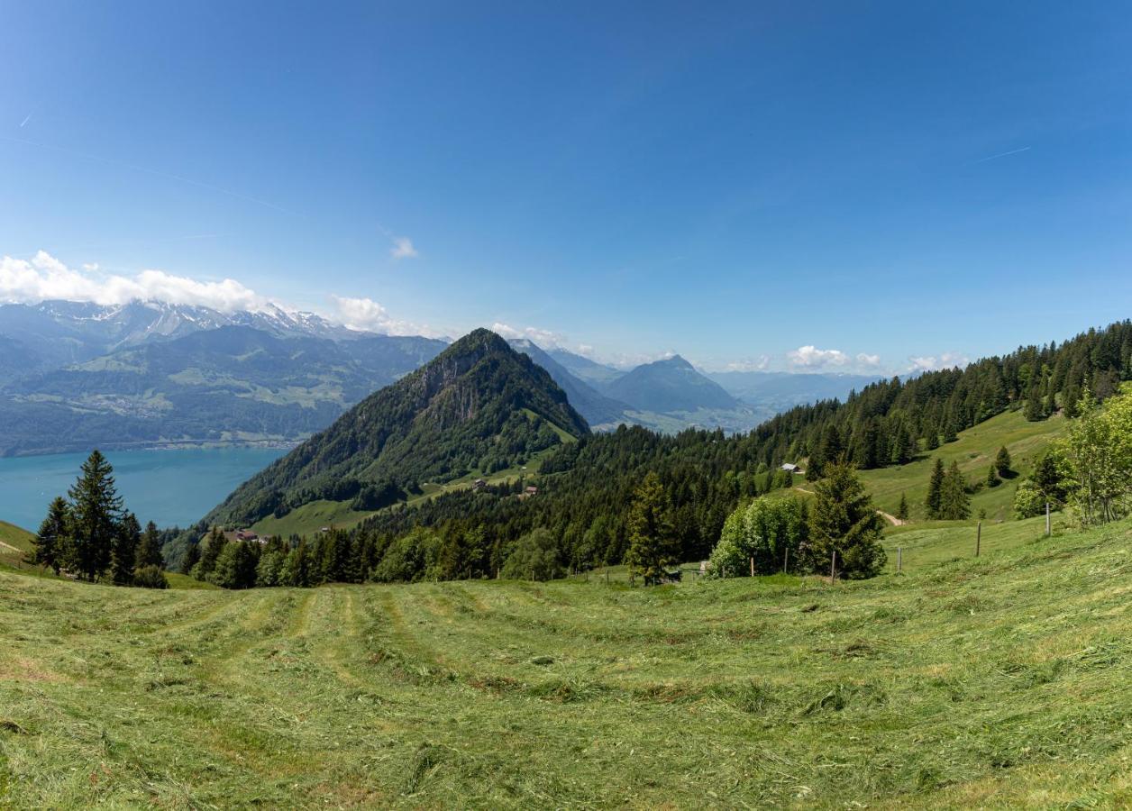 Rigi-Burggeist Alpine Guesthouse Gersau Εξωτερικό φωτογραφία