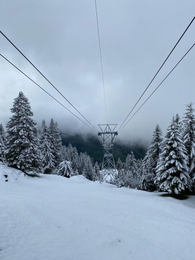 Rigi-Burggeist Alpine Guesthouse Gersau Εξωτερικό φωτογραφία