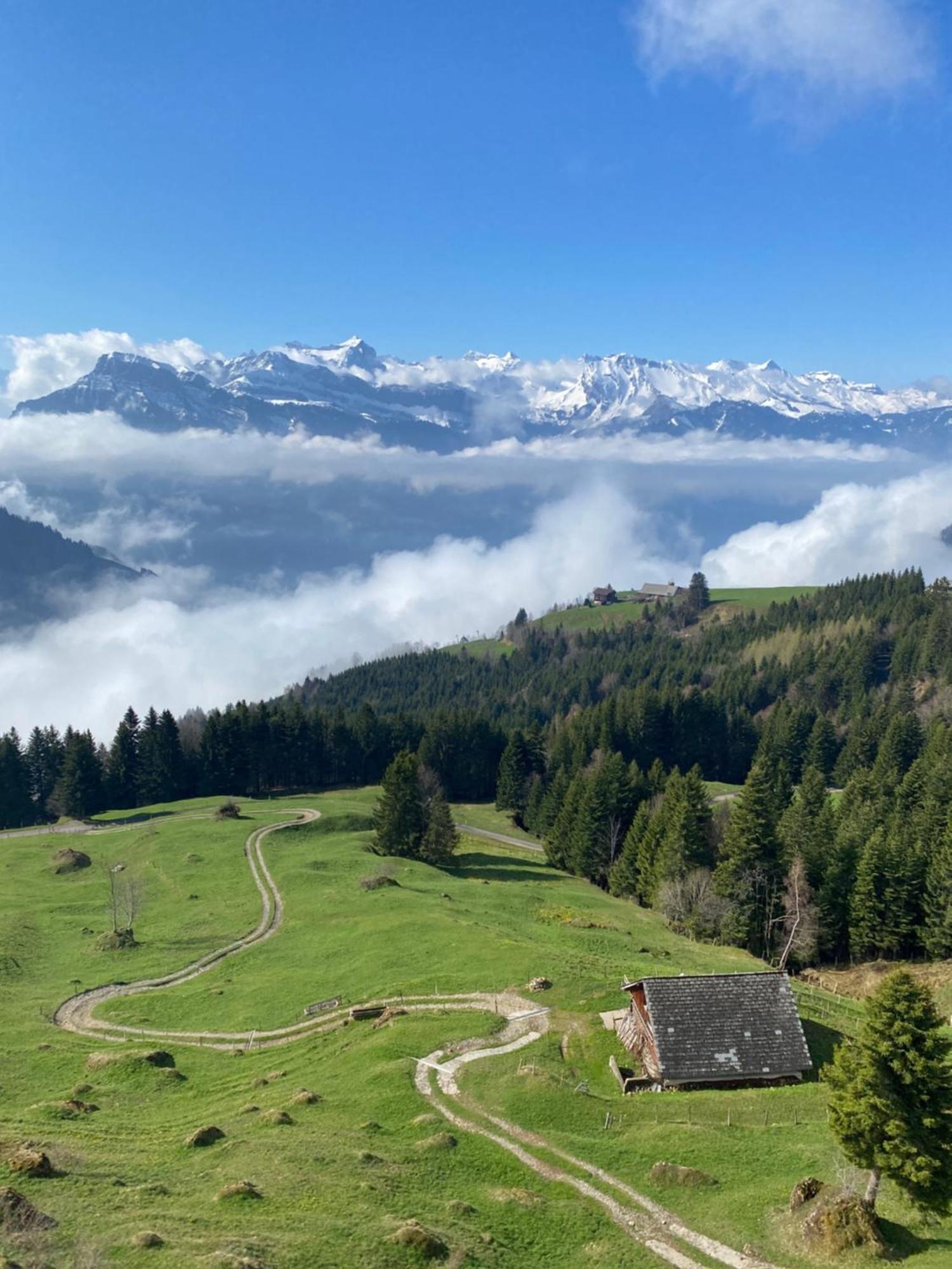 Rigi-Burggeist Alpine Guesthouse Gersau Εξωτερικό φωτογραφία